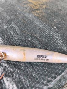 sea bass lures