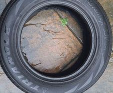 Two Triangle AdvanteX SUV TR259