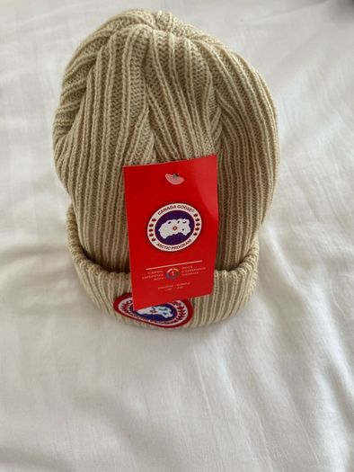 canada goose