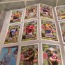 Gaa Cul Heroes 95 Cards Image 9