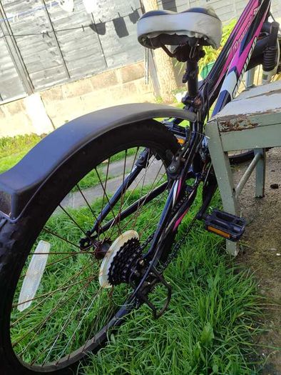 Power Pearl 24 inch girls mountain bike