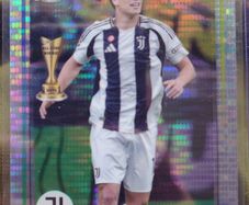 Juventus Yildiz Future stars
