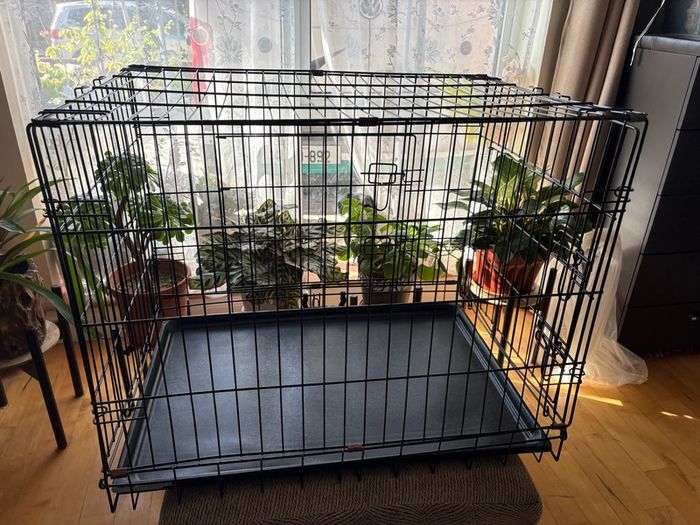 Dog crate with foam mattress