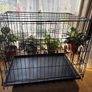 Dog crate with foam mattress Image 3