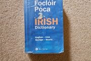 Pocket Irish Dictionary