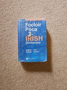 Pocket Irish Dictionary