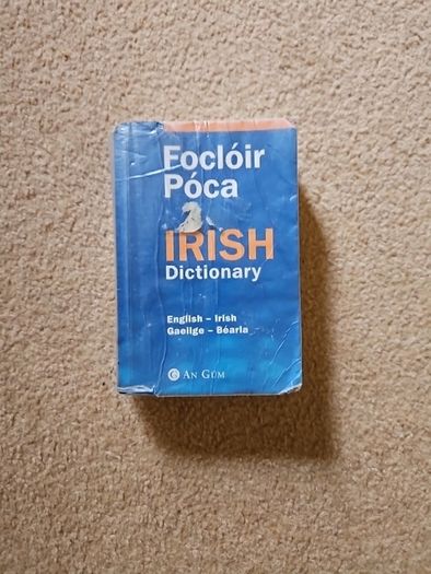 Pocket Irish Dictionary
