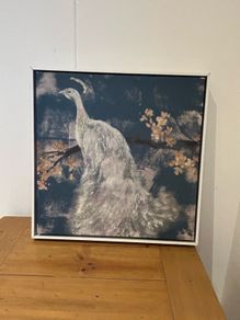 White peacock canvas
