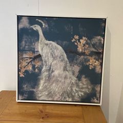 White peacock canvas