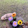 Handmade Flower Pot Decor Image 2