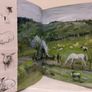 Muck & magic by Michael Morpurgo  HARDBACK BOOK Image 9