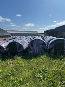 Bales of silage and haylage