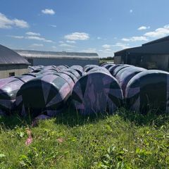 Bales of silage and haylage