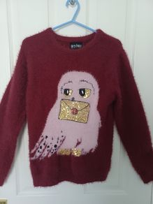 Girls Harry Potter Jumper Age 12-13