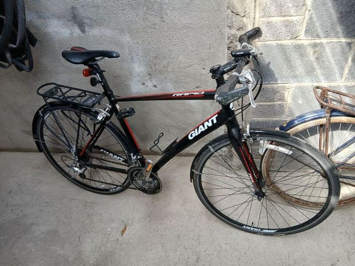 giant escaoe rapid 3