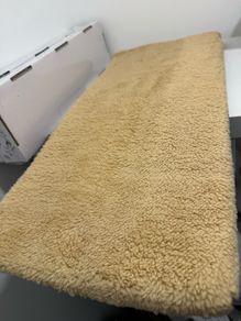 Cat Window Mat