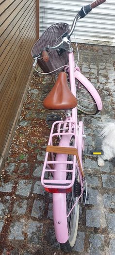 Girls PInk Bike