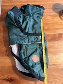 dog coat, small