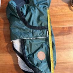 dog coat, small