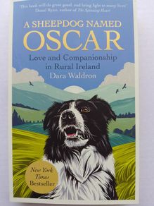 A Sheepdog Named Oscar