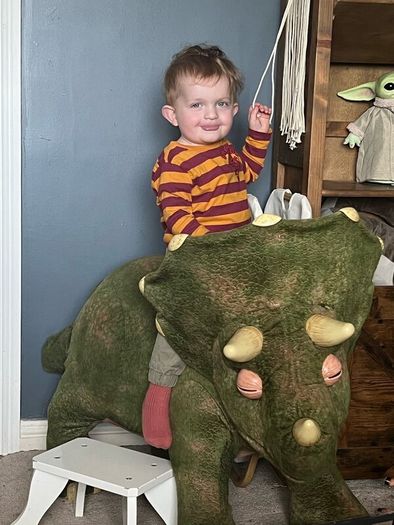 Ride on Dinosaur