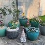 Small Earthenware Pot with Stacked Stones- 1 pot available Image 2