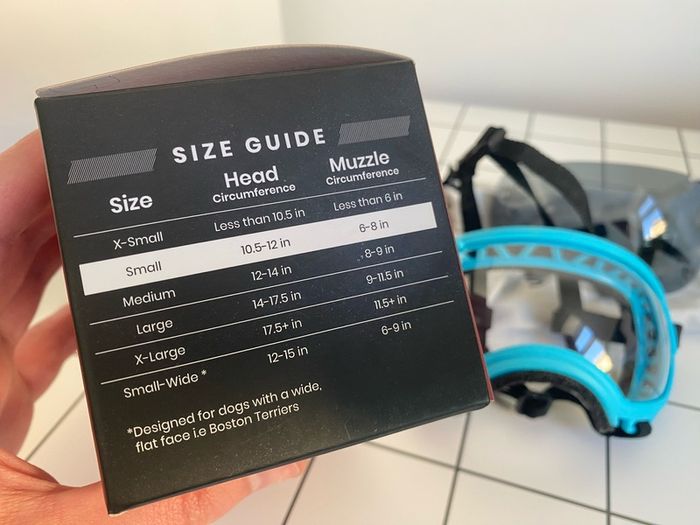 Rex Specs V2 Dog Goggles Blue Small with Two Lenses