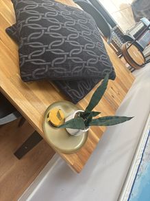 FREE House bundle