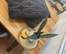 FREE House bundle
