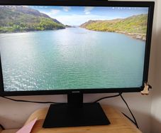 Samsung S31A 24" Full HD Monitor