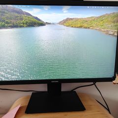 Samsung S31A 24" Full HD Monitor