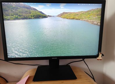 Samsung S31A 24" Full HD Monitor