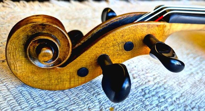 Rare Master Violin by Erich Bruckner and Dr M. Grossman of Berlin, signed. 1923. Excellent condition. Available at Vegter violins, Cork city.