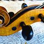 Rare Master Violin by Erich Bruckner and Dr M. Grossman of Berlin, signed. 1923. Excellent condition. Available at Vegter violins, Cork city. Image 5