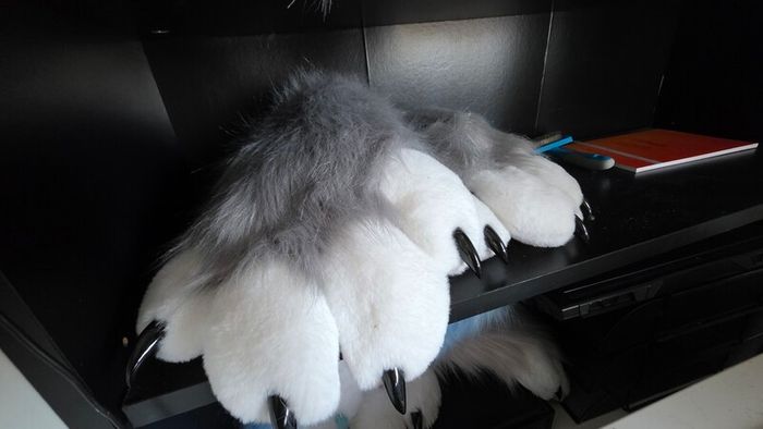 Fursuit Long Fur Husky Fox Mascot Head Party Halloween (Head + Claws)