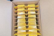 Lego 71045 Minifigures Series 25 Collectible Figures Box of 36 FREE POSTAGE