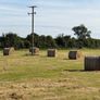 29 bales of Hay Image 2