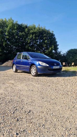 Peugeot 307 1.4 2004