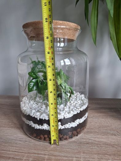 Home plant