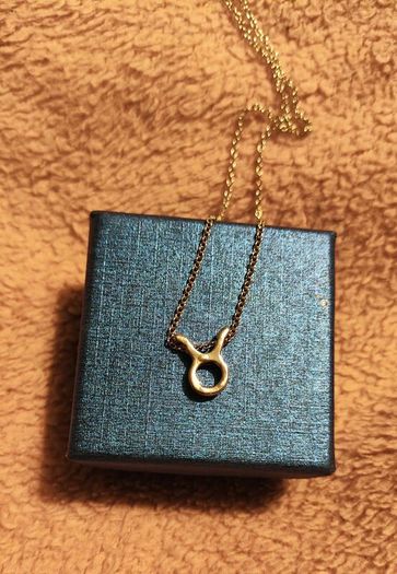 Taurus Zodiac Necklace Celestial & Personal Charm