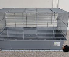 Rodent cage - rats, gerbils, mice, hamsters