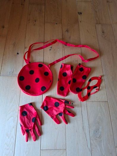 Miraculous Ladybug Costume