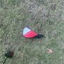 stealth driver hzdrus 6.0 Image 7