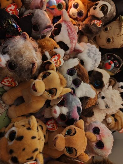 TY Teddy's