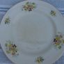 Arklow Pottery Floral Plates x 3 Image 4