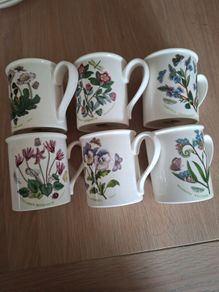 Six Mugs Portmeirion