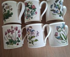 Six Mugs Portmeirion