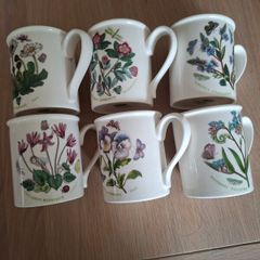 Six Mugs Portmeirion