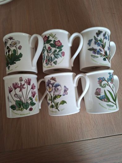 Six Mugs Portmeirion