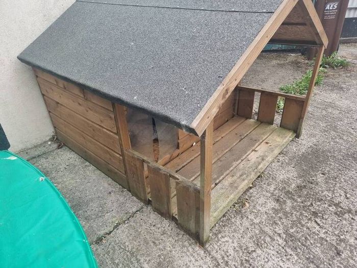 Dog Log Cabin Box